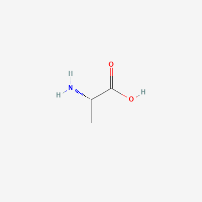 amino acid structure